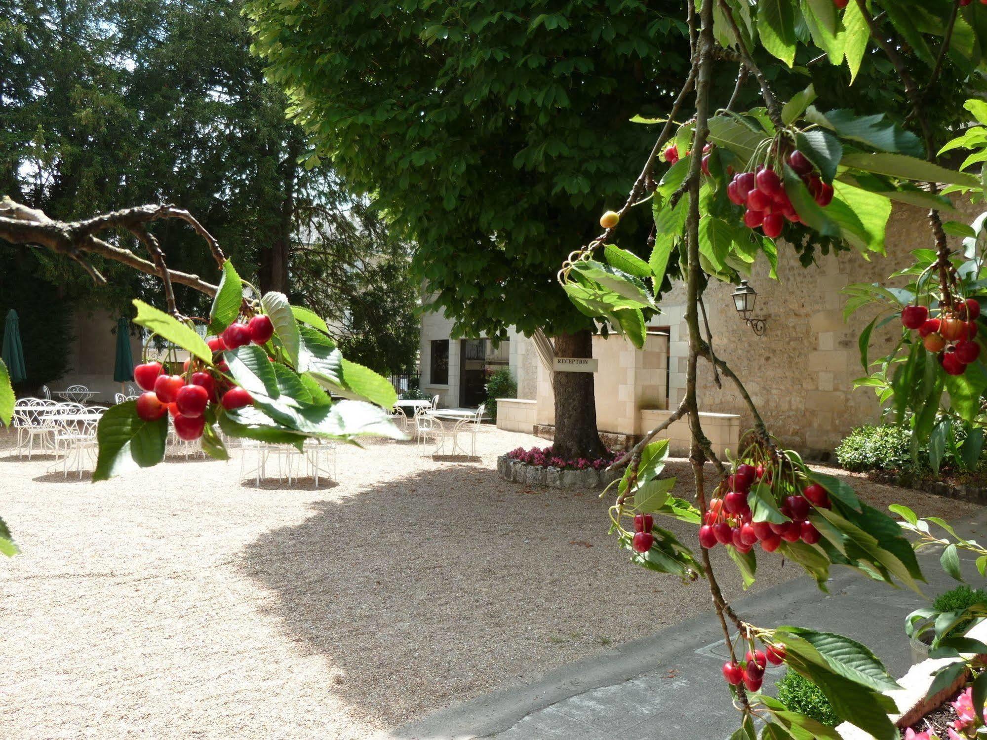Hotel Grand Monarque Azay-le-Rideau Exterior foto